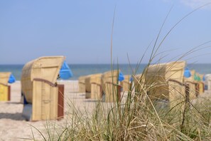 Cadeiras de praia e guarda-sóis numa praia arenosa, com o oceano ao fundo.