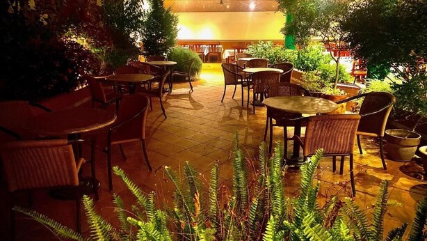 Un espace extérieur aménagé avec des tables et des chaises en osier, entouré de plantes en pot et de fougères.