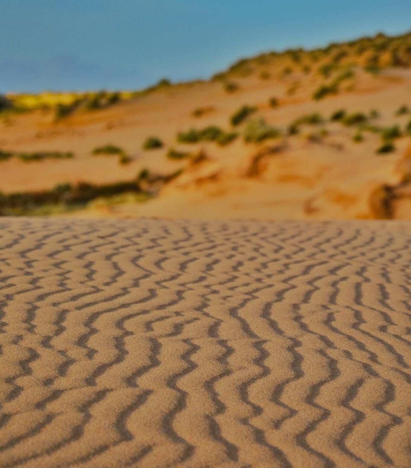 A close-up of a sandy surface with wavy patterns, likely a beach or desert.
