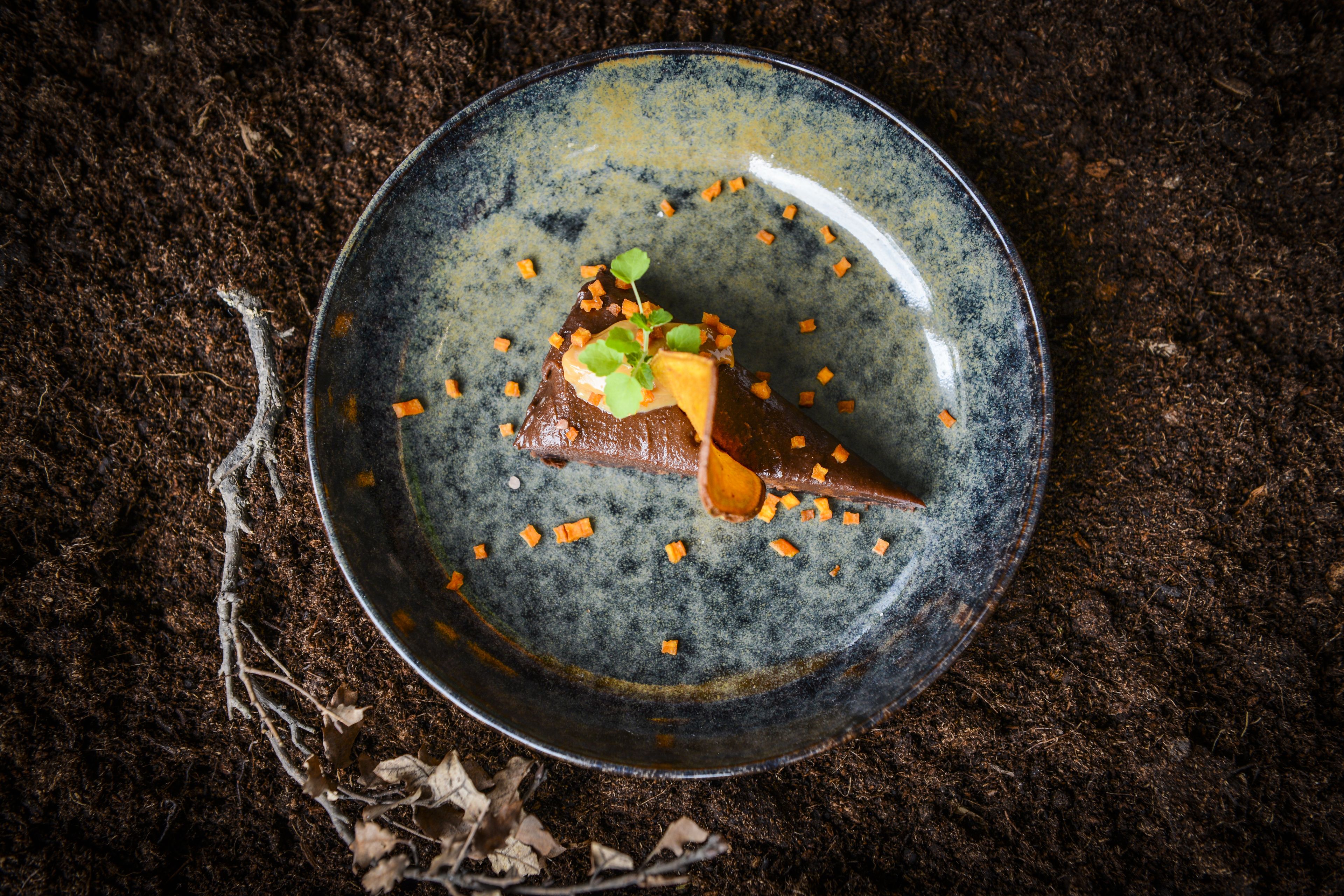 Un piatto con carne, verdure e salsa su una superficie ruvida.