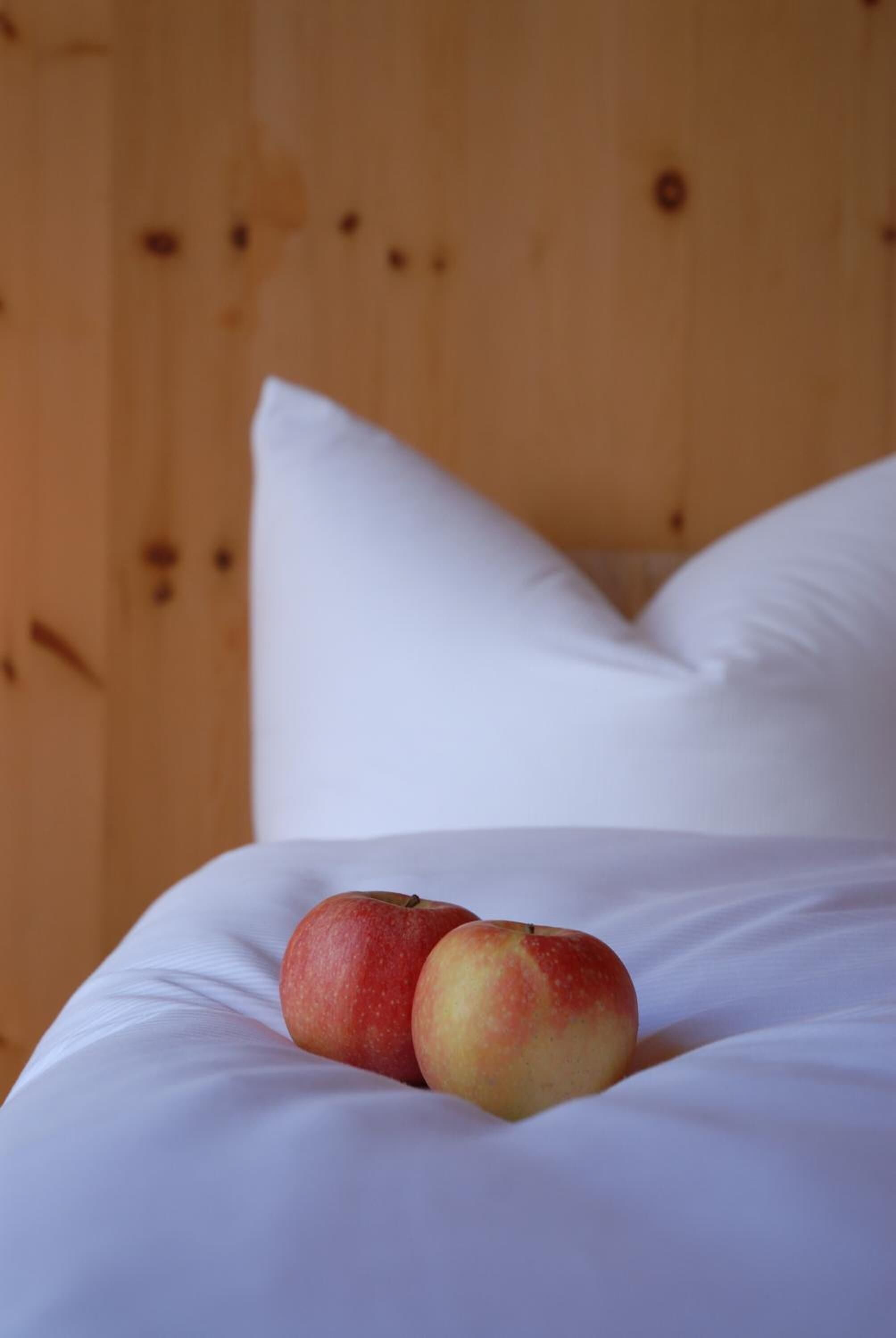 desk, cots/infant beds, rollaway beds, free wifi