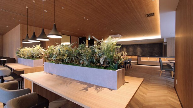 Un interior moderno con suelo de madera, mesas largas y sillas, y una jardinera central con diversas plantas.