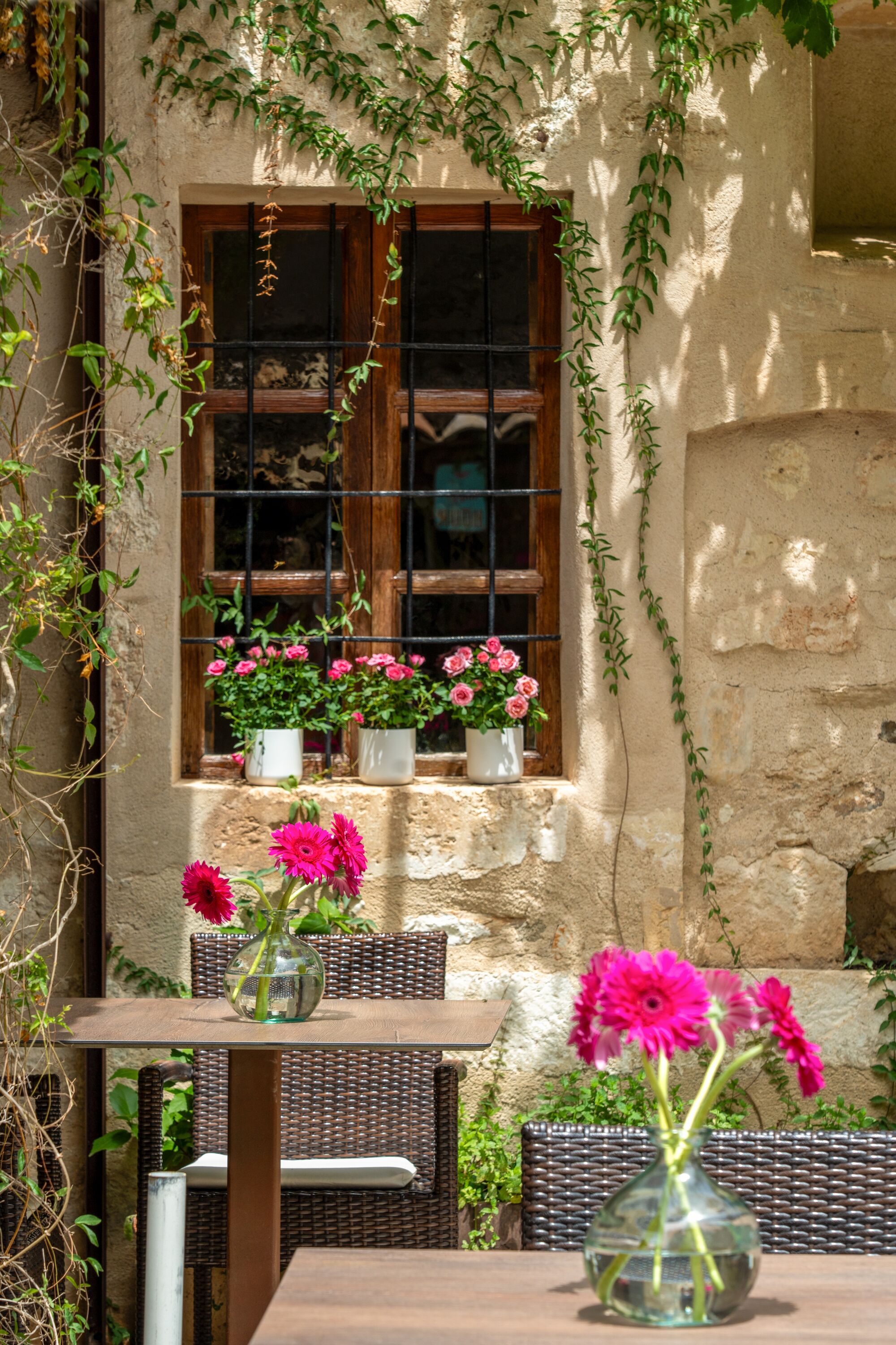 Foto - Can Joan Capo - Adults Only