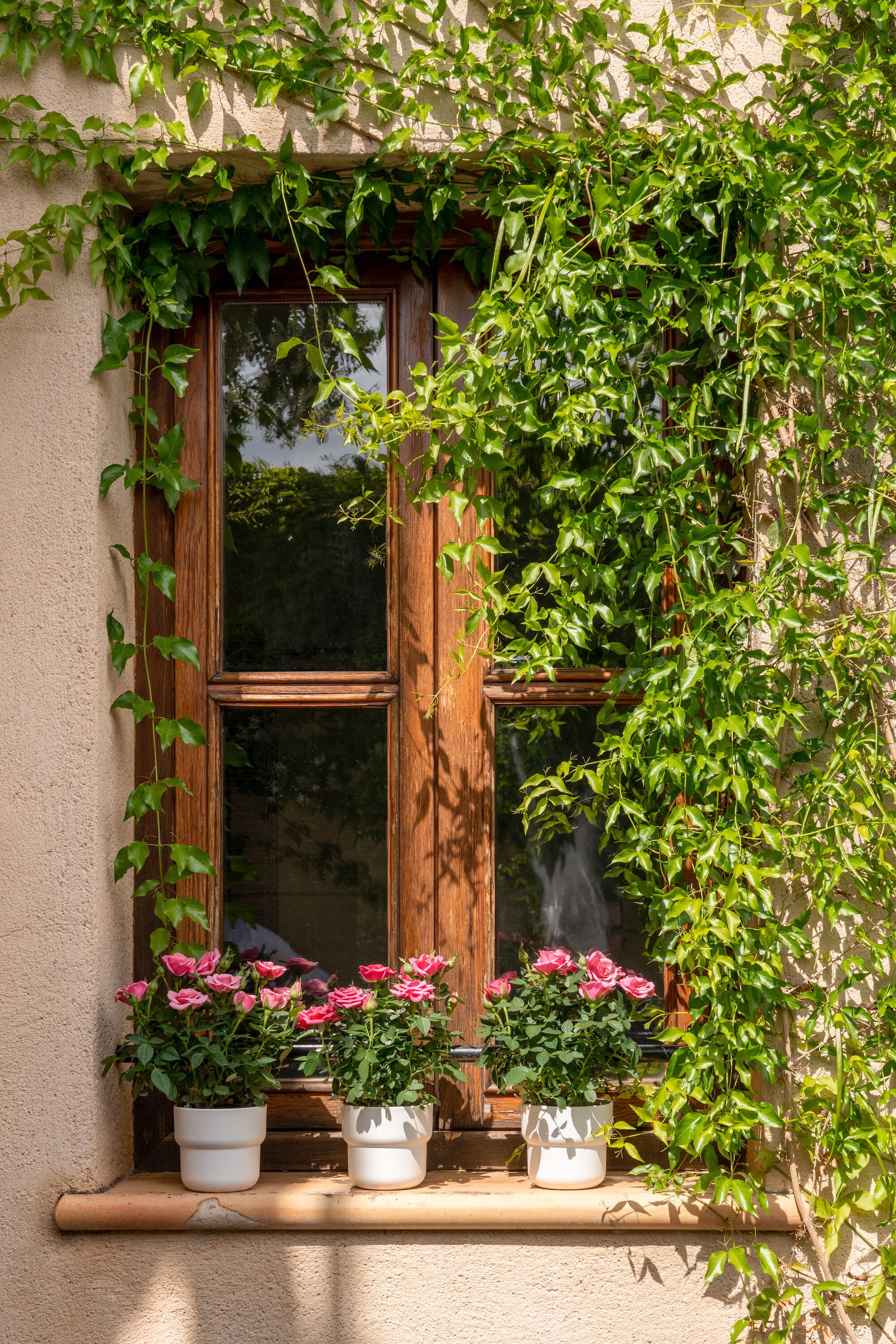 Foto - Can Joan Capo - Adults Only