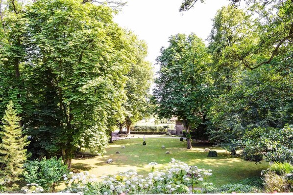 Un jardín bien cuidado con varios árboles, césped y parterres de flores.