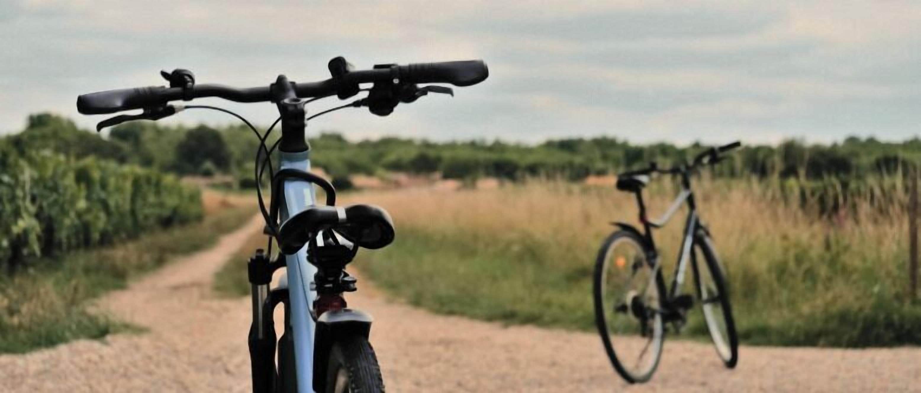 Una bicicleta sobre un camino de grava con follaje al fondo.