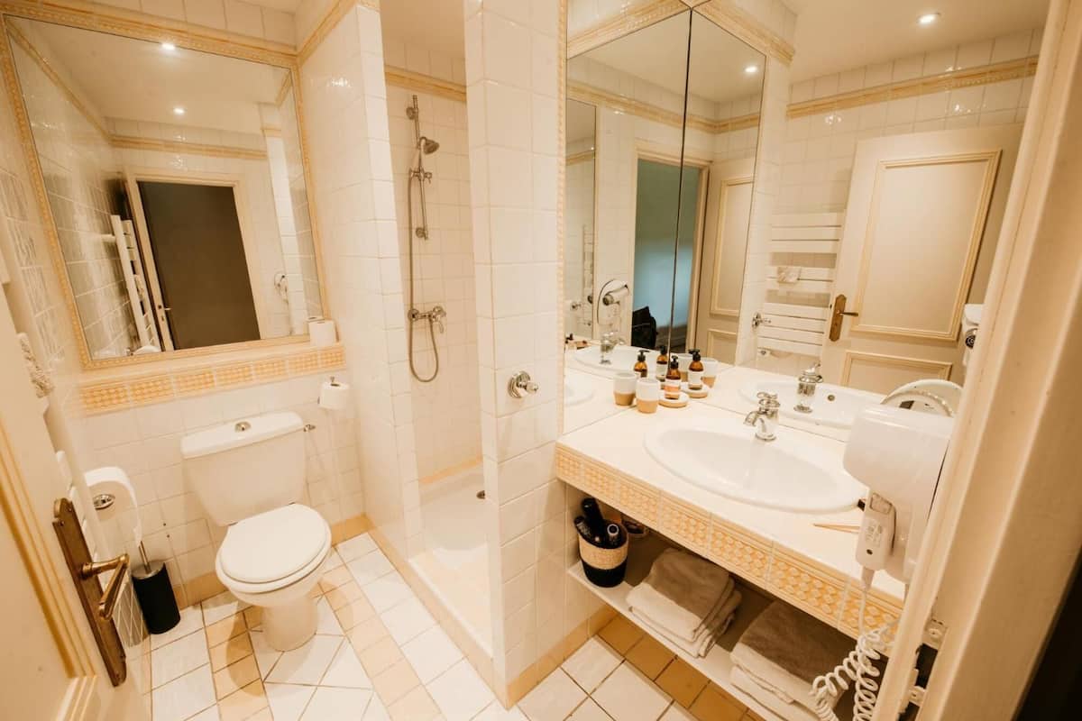 free toiletries, hair dryer, towels