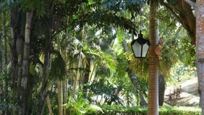A wooden deck with white chairs and a table, surrounded by lush tropical vegetation and a brick wall. - Pousada Dos Reis (Búzios)