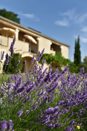 Land view from property - Hotel Charembeau (Forcalquier)