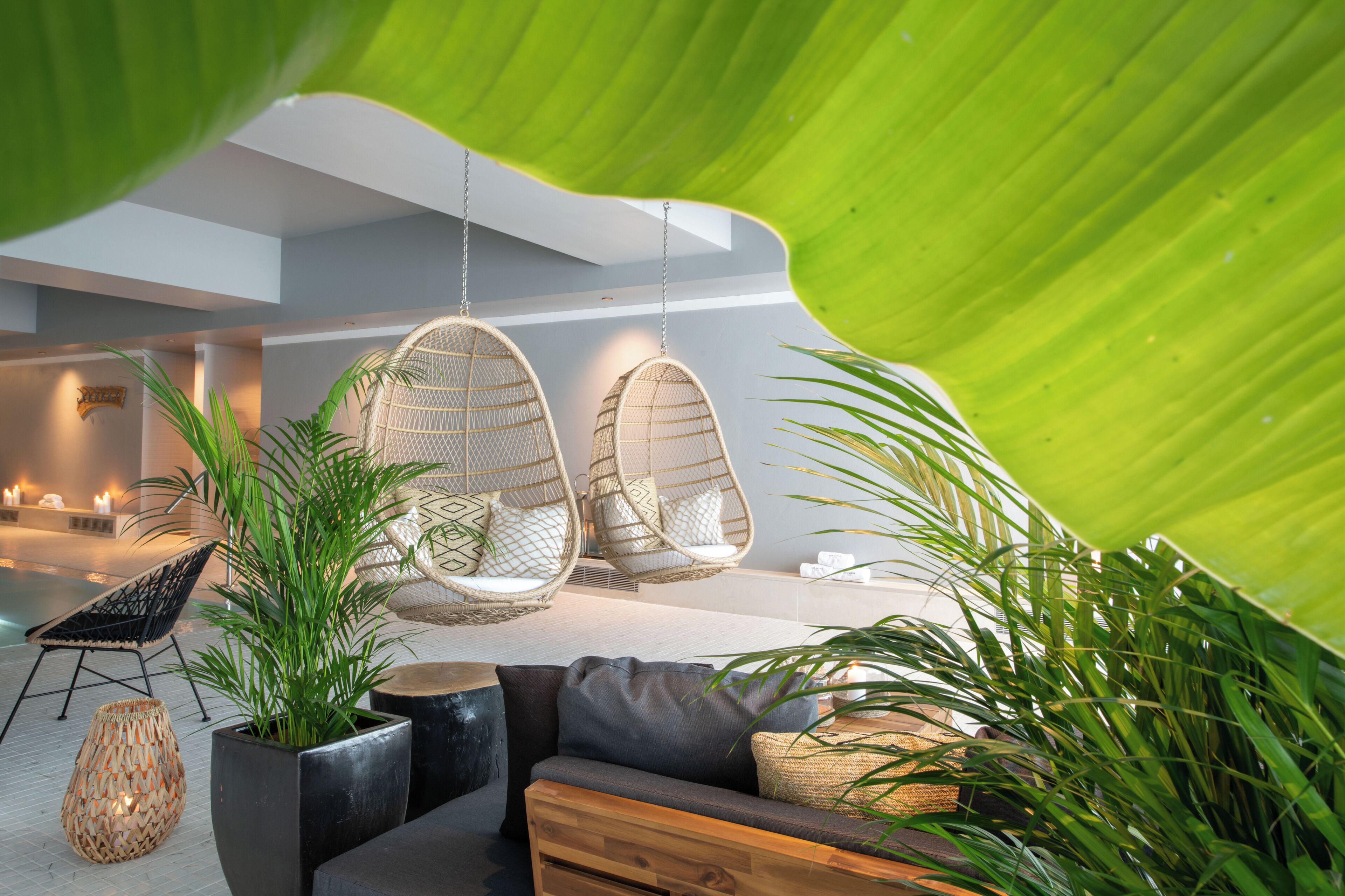 A modern lounge area with wicker chairs, a sofa, and potted plants.