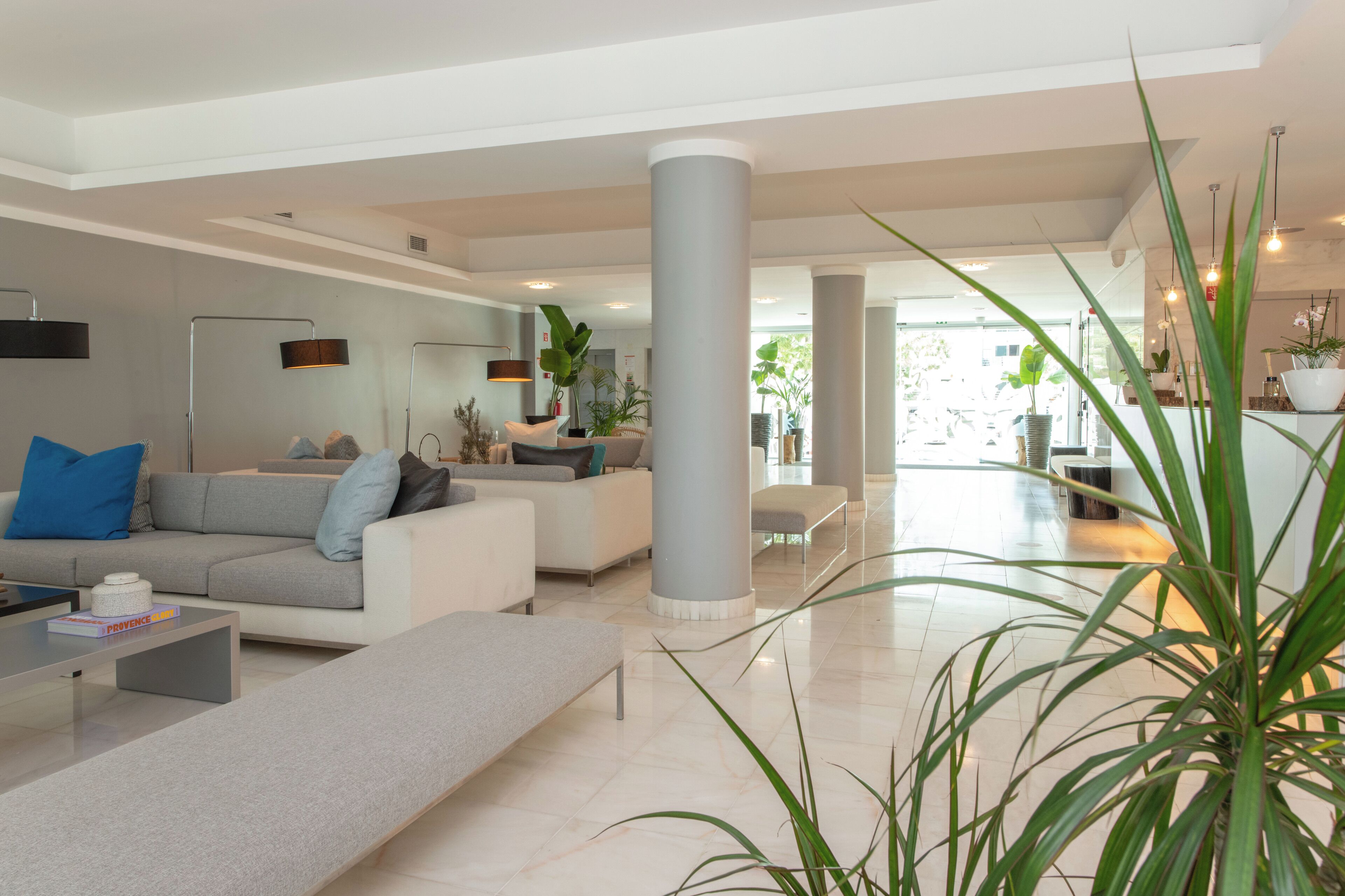 A modern living room with a grey sofa, a coffee table, and a large plant.