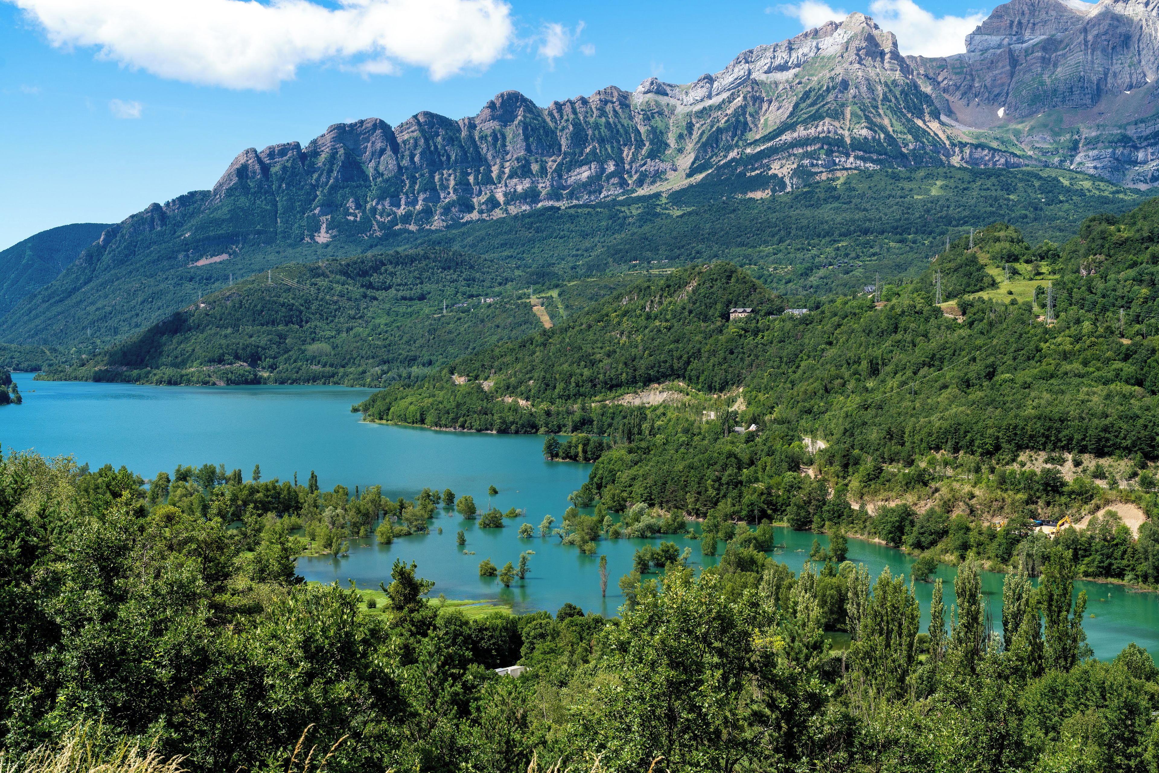 Un paysage montagneux avec un lac et une forêt dense.