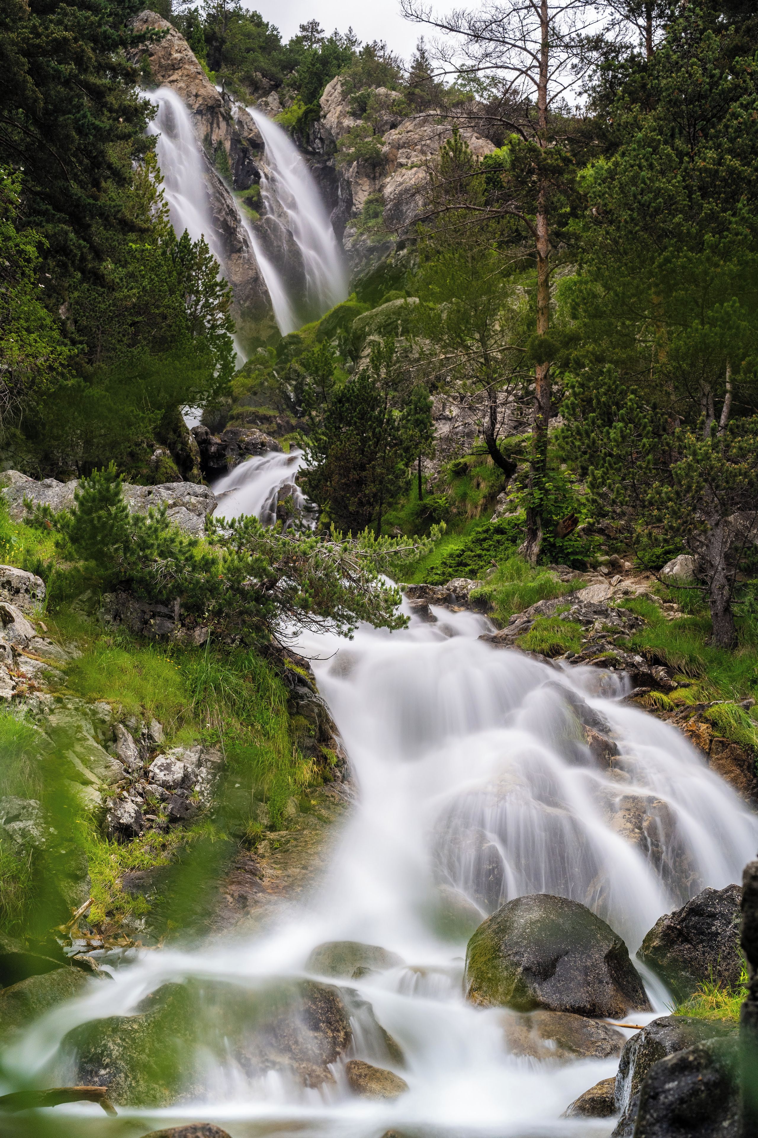Una cascada que flueix sobre roques en una zona boscosa.