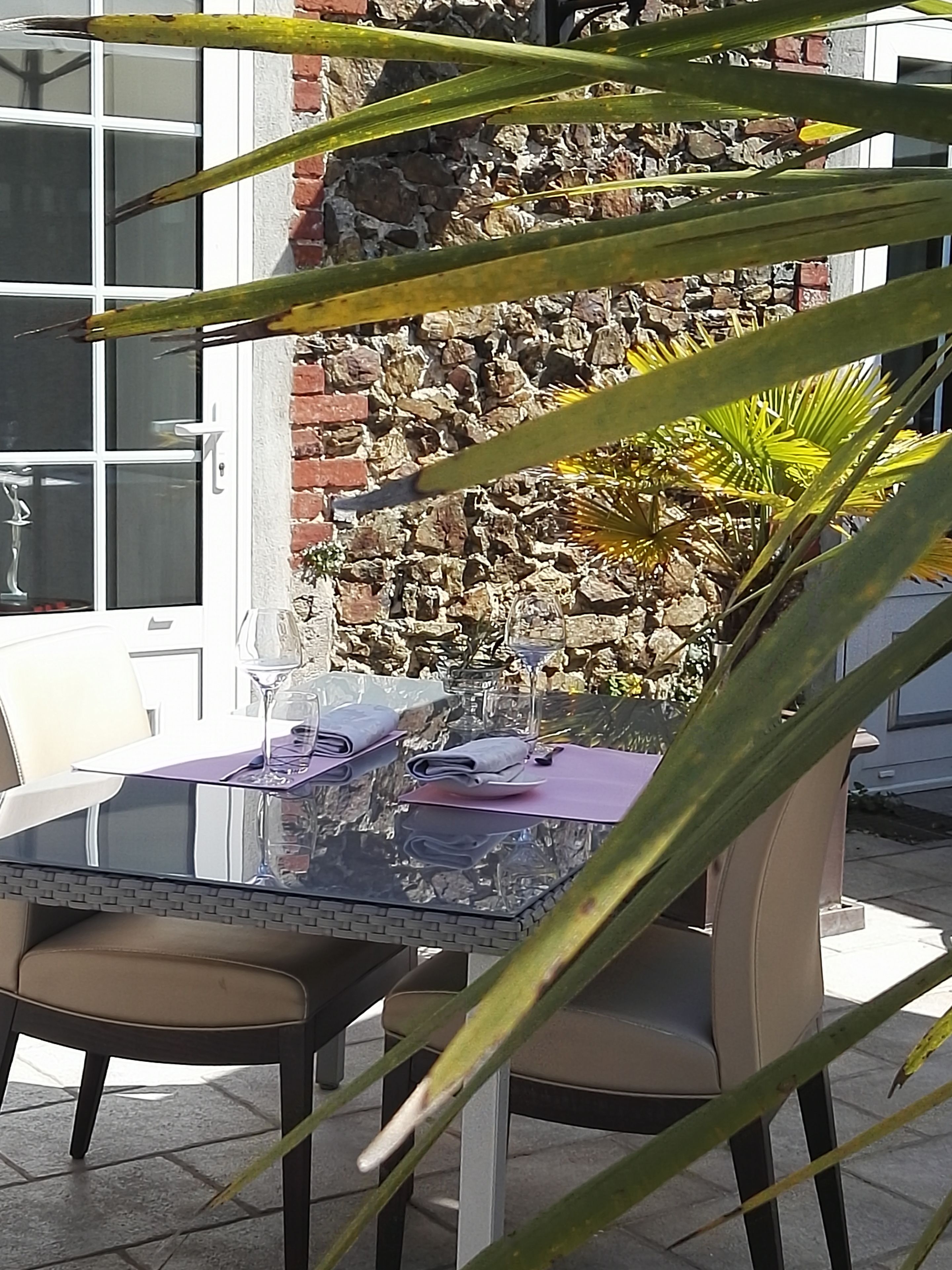 Un área de comedor al aire libre con una mesa y sillas de vidrio, un muro de piedra y una planta en maceta.