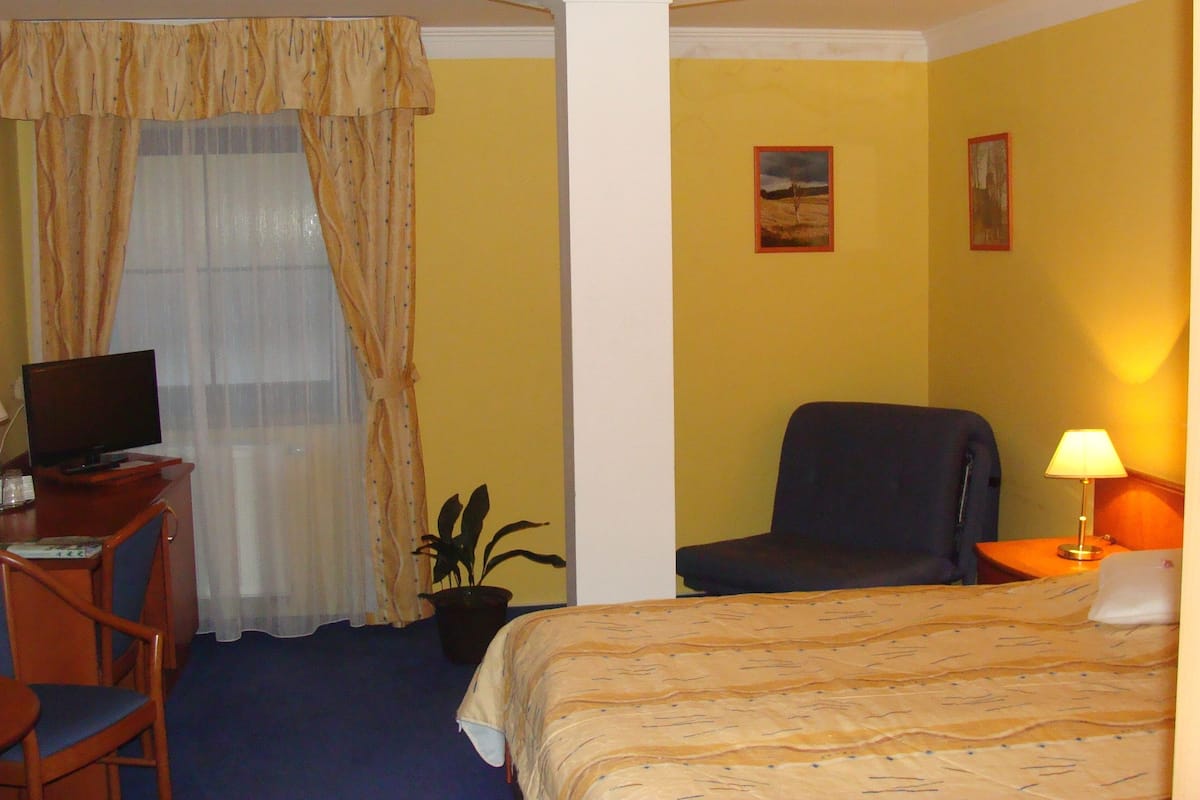 A hotel room with a bed, a desk with a TV, a chair, a lamp, and a potted plant.