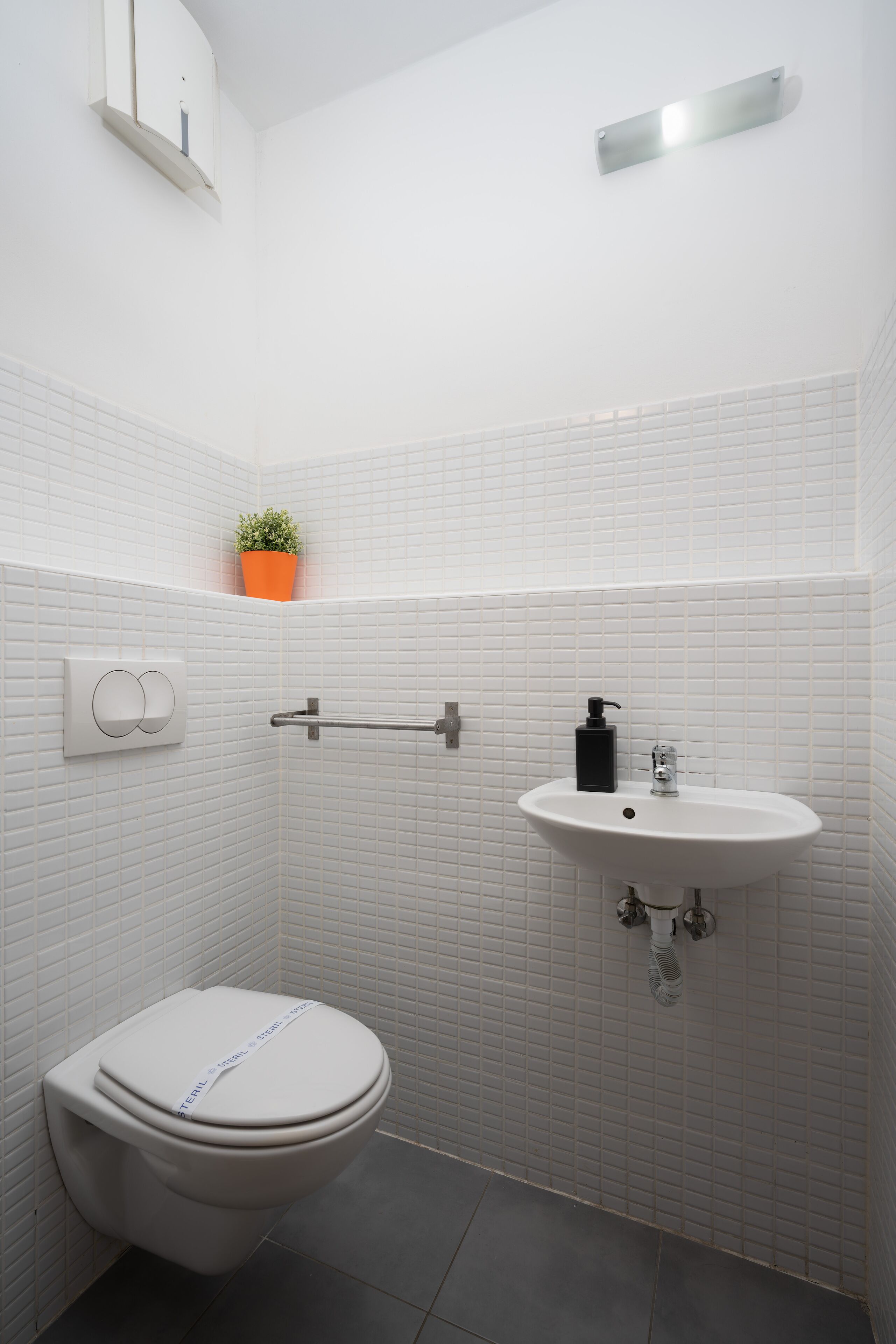 A bathroom with a white toilet, a sink, and a small potted plant on the wall.