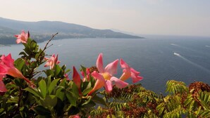 Vista costera con montañas al fondo y flores rosadas en primer plano.