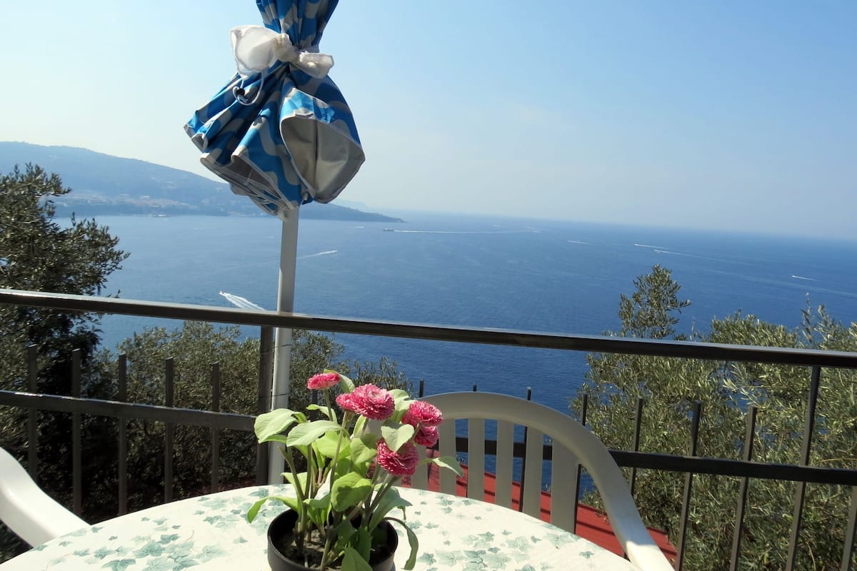A balcony with a view of the sea, a table with a potted plant, and a chair.