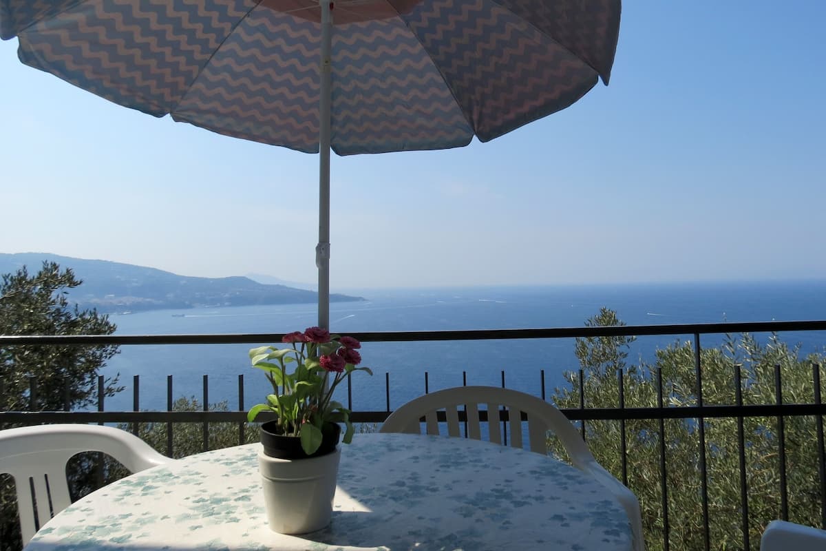 A balcony with a table, a potted plant, and an umbrella.