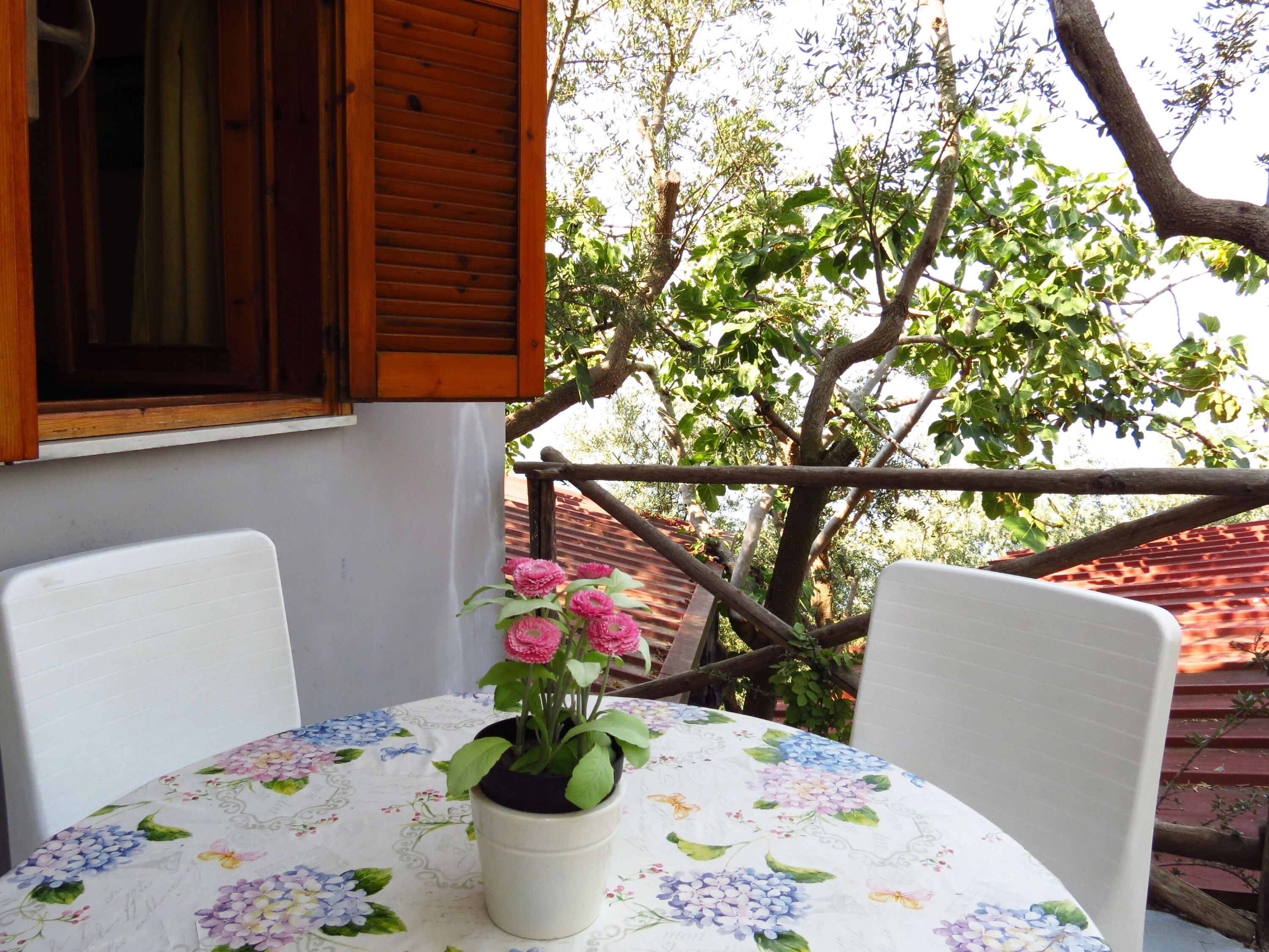 A balcony with a table and chairs, a potted plant with pink flowers, and a view of trees and a red-roofed building.