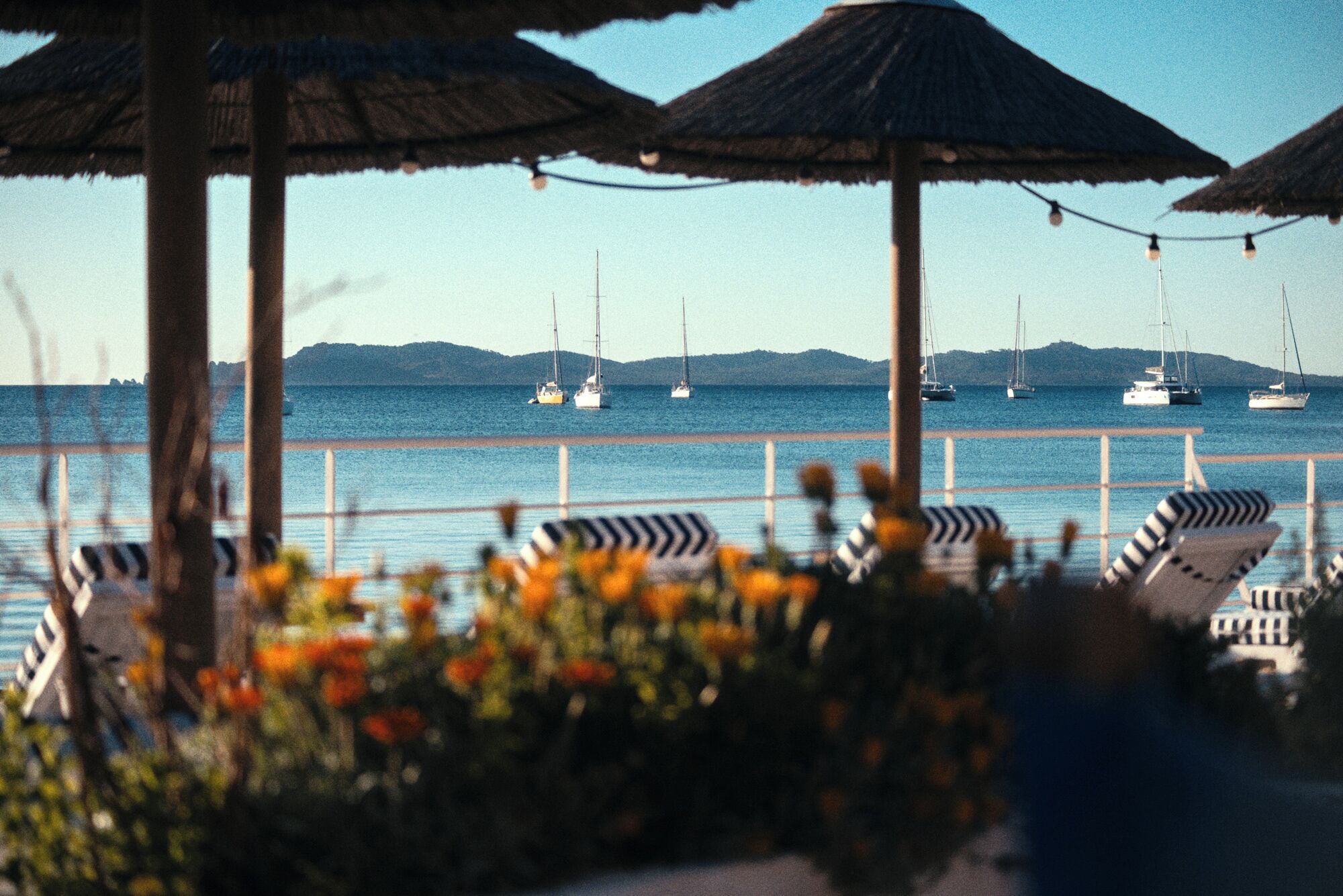 Eine Strandterrasse mit reetgedeckten Sonnenschirmen, Liegestühlen und Blick auf Segelboote auf dem Wasser.