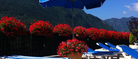 Un área de piscina con sillones reclinables a rayas azules y blancas, una gran sombrilla azul y flores rojas al fondo.