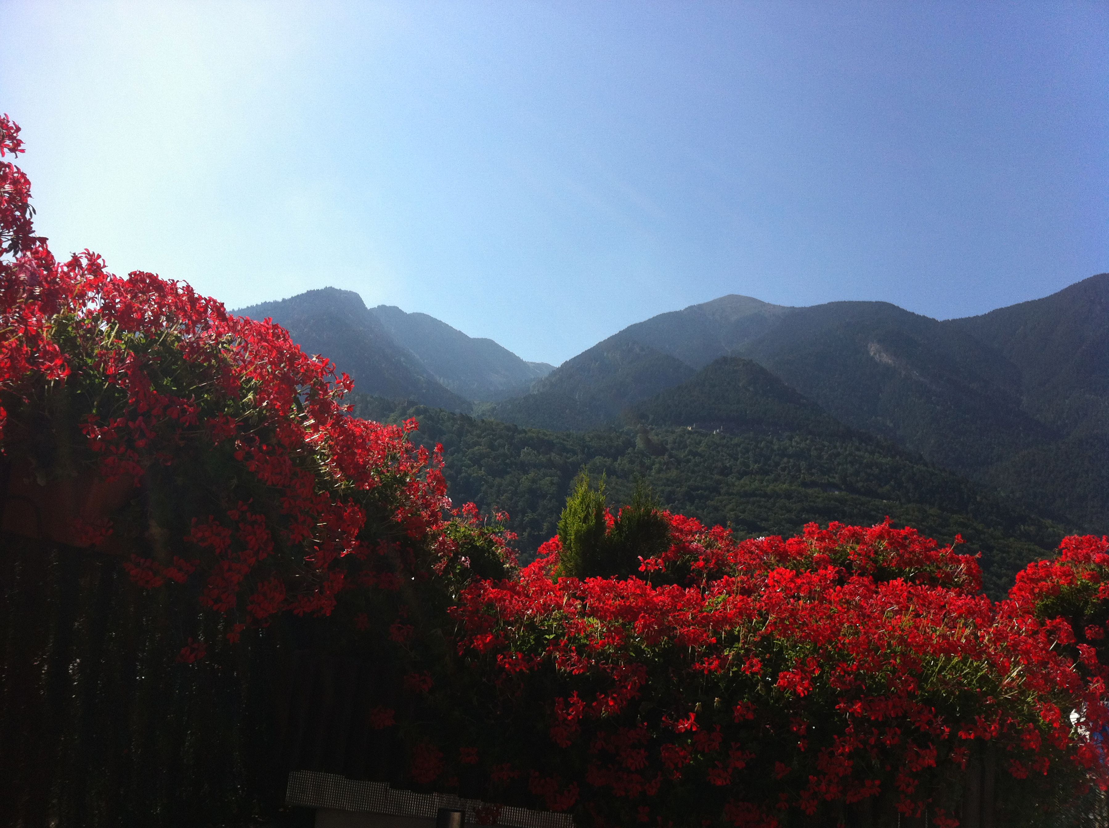 Foto - Hotel Pyrénées