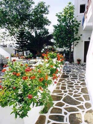 Property grounds - Galaxy Pension (Amorgos)