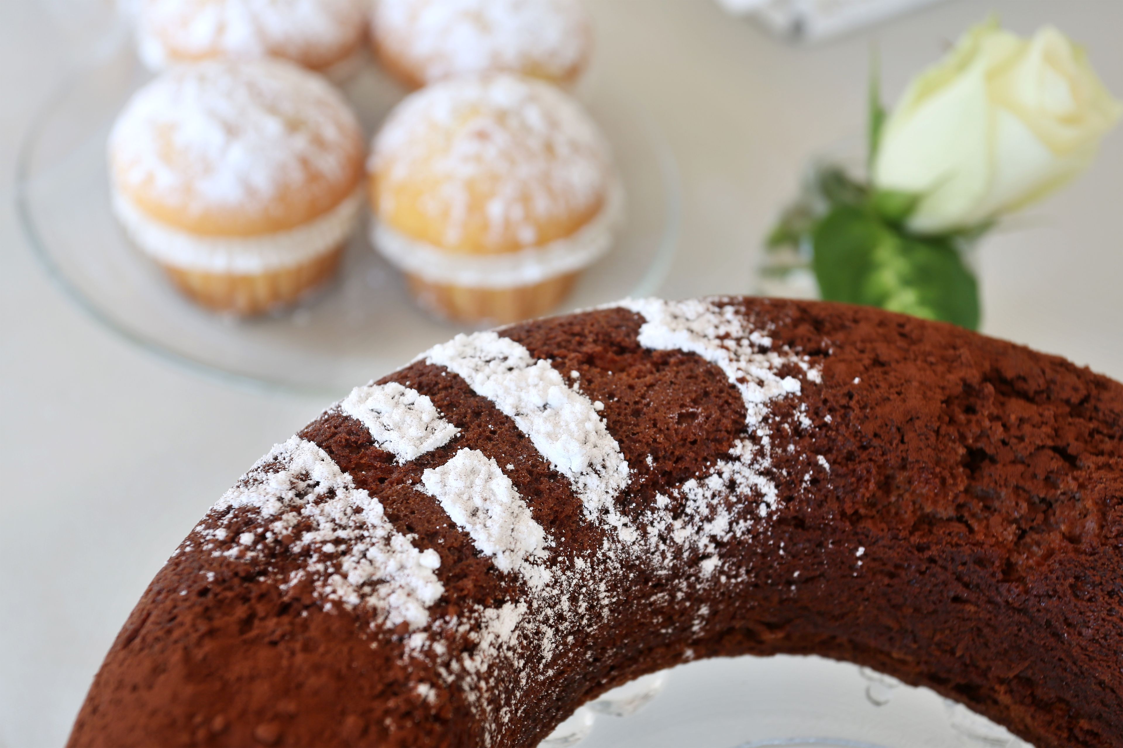 daily continental breakfast (eur 8 per person)