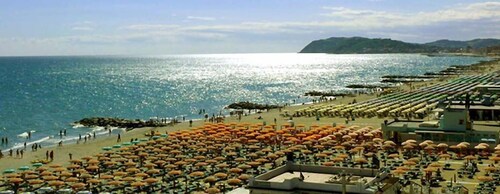 Holiday