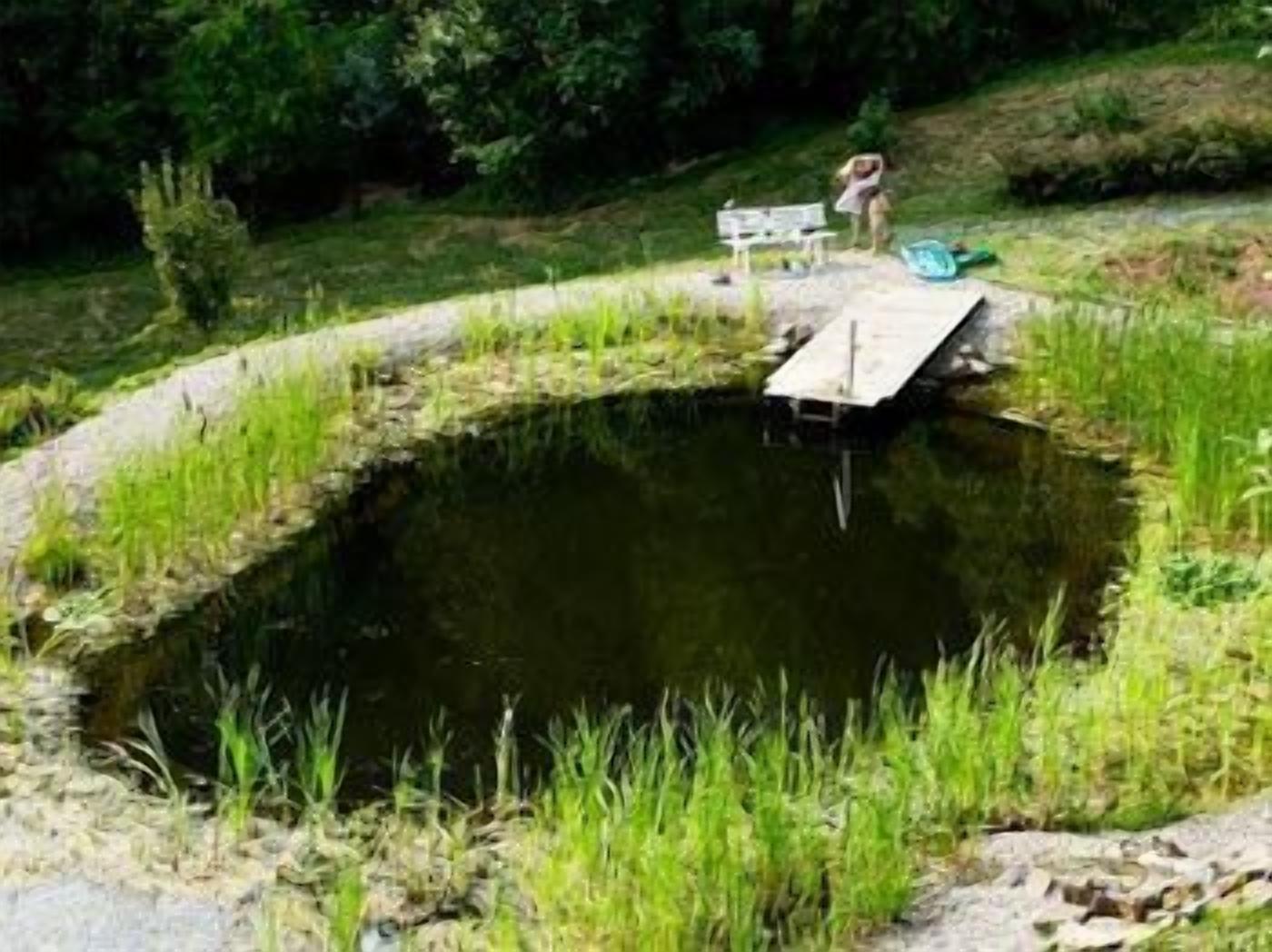 A small pond with a wooden dock and a bench.