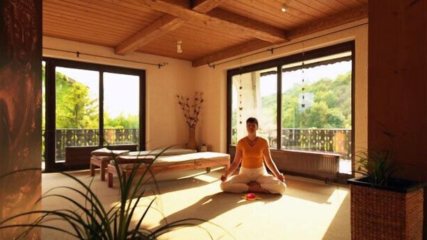 A room with a wooden ceiling, large windows, a sitting area with a bench, and a potted plant. - Hotel Garni Belvedere, das BIO Hotel & SuiteHotel am Ederse (Waldeck)
