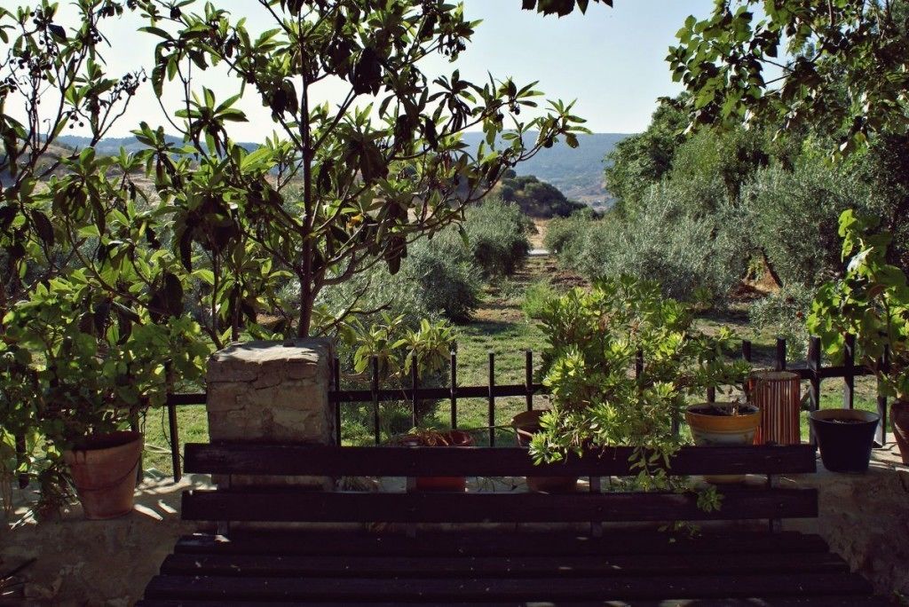 Un banc agrémenté de plantes en pot, situé dans un jardin, d’où l’on peut admirer un paysage arboré et une vue lointaine.