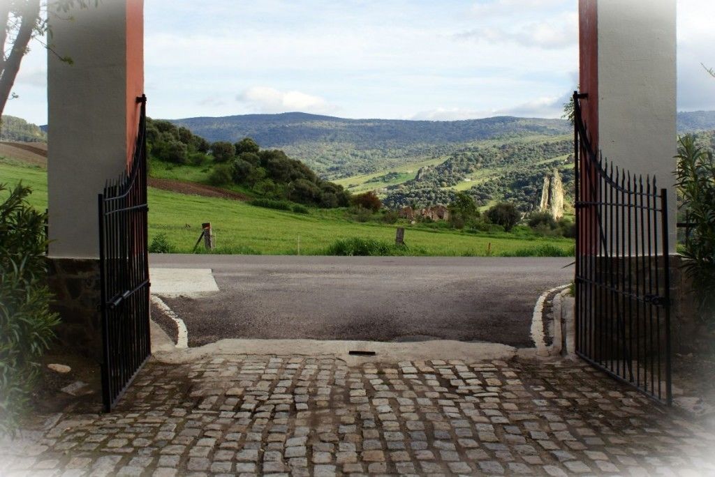 A paved entrance with a cobblestone pathway leading to a gated driveway.