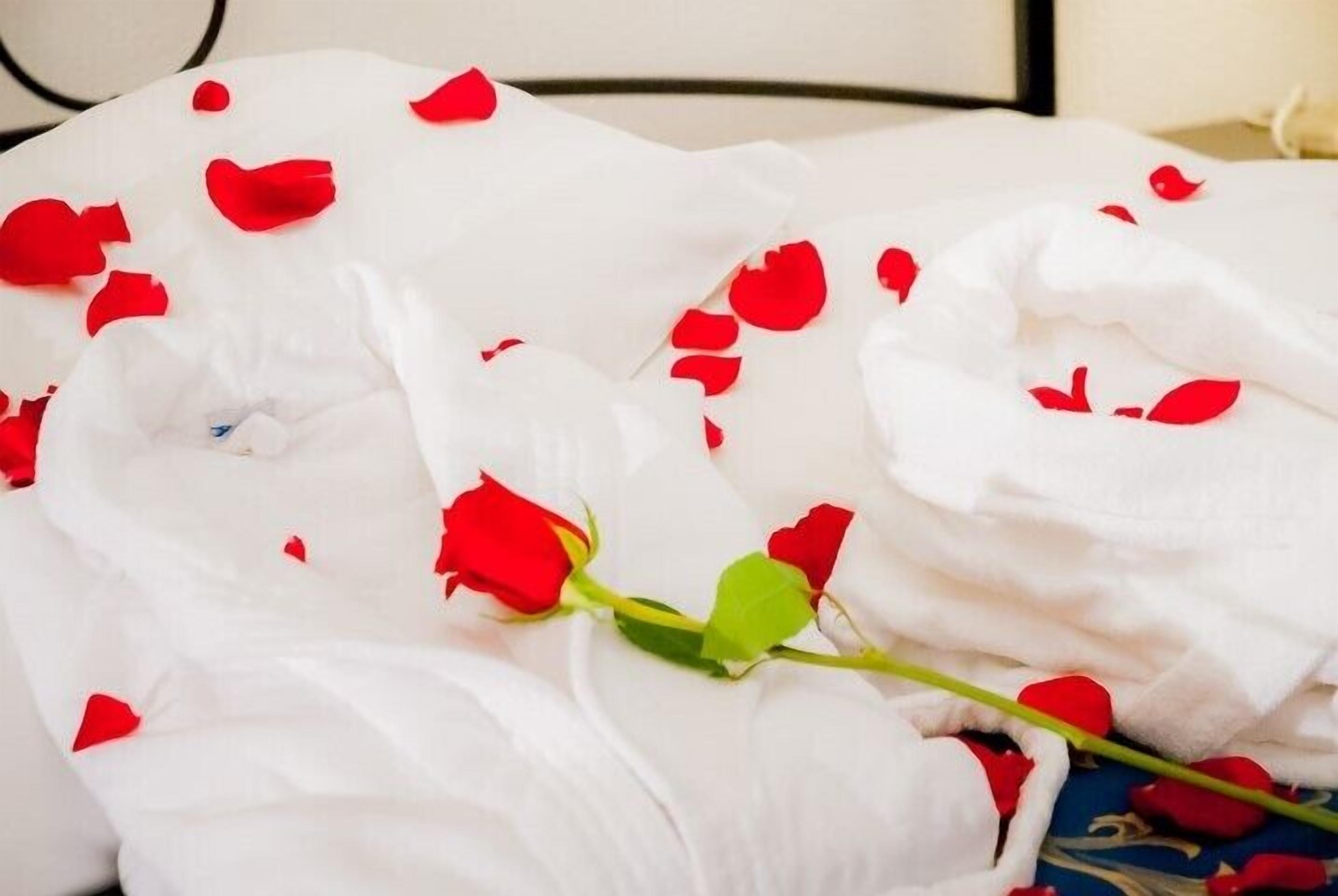 โต๊ะทำงาน, ผ้าม่านกันแสง, Wi-Fi ฟรี, ผ้าปูที่นอน