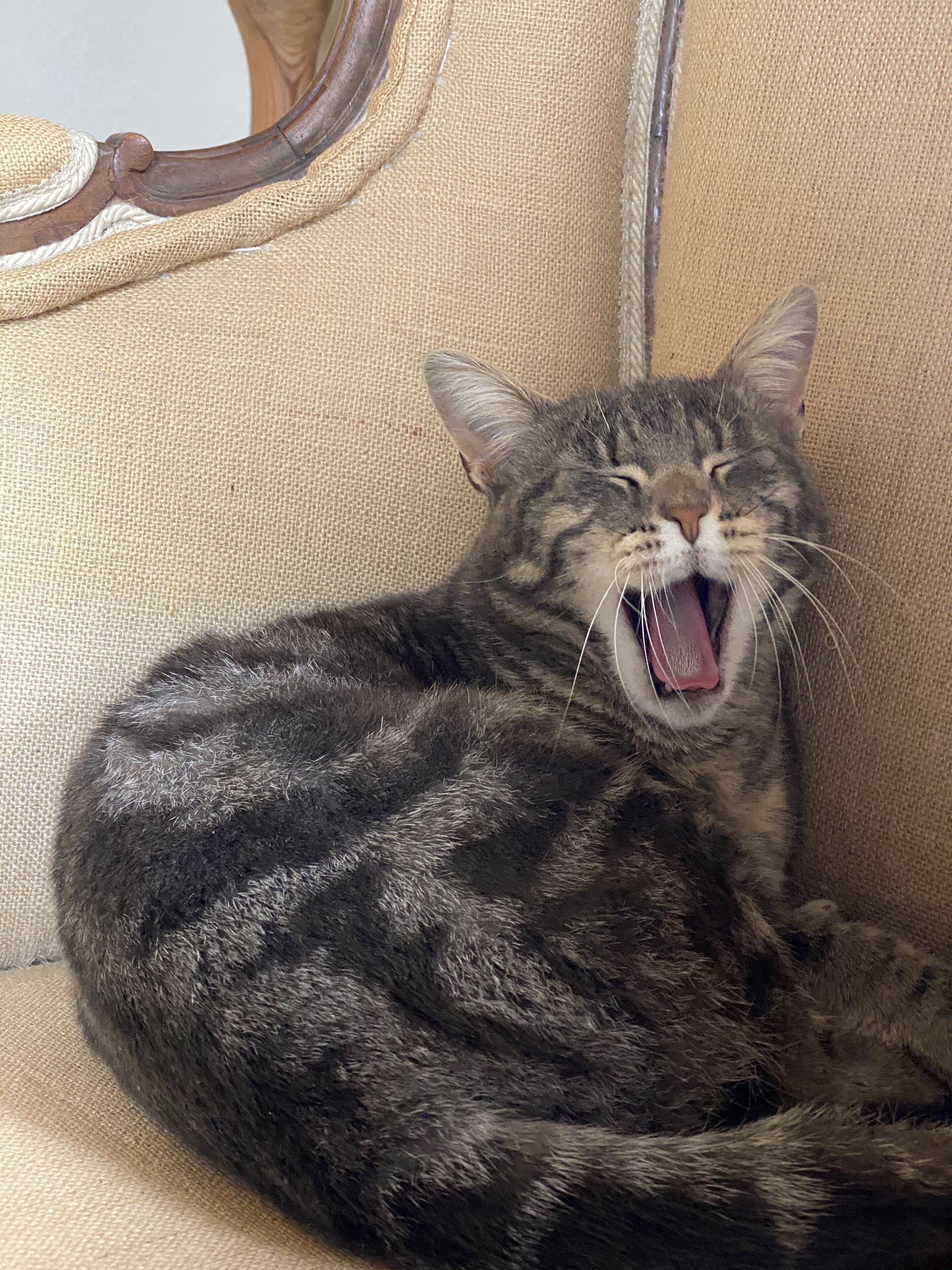 Photo - Relais Sant'Elena