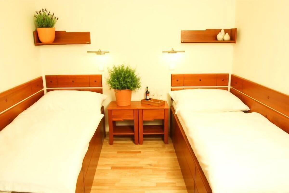 A room with two single beds, wooden headboards, a small wooden nightstand with a potted plant, and wall-mounted shelves with decorative items.