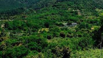 Un paisaje montañoso con vegetación verde exuberante y un cielo azul despejado.