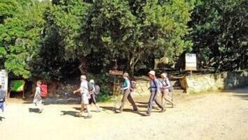 A group of people walking on a dirt path with trees and a stone wall in the background.