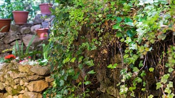 Fountain
