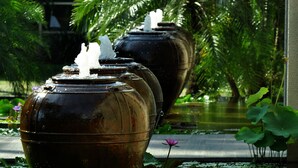 A tranquil garden with a water feature, including a fountain and lotus flowers.