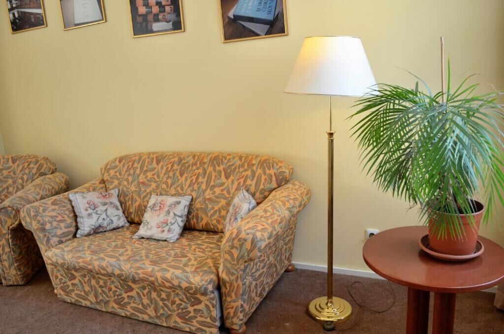 A living room with a patterned sofa, a floor lamp, and a potted plant.