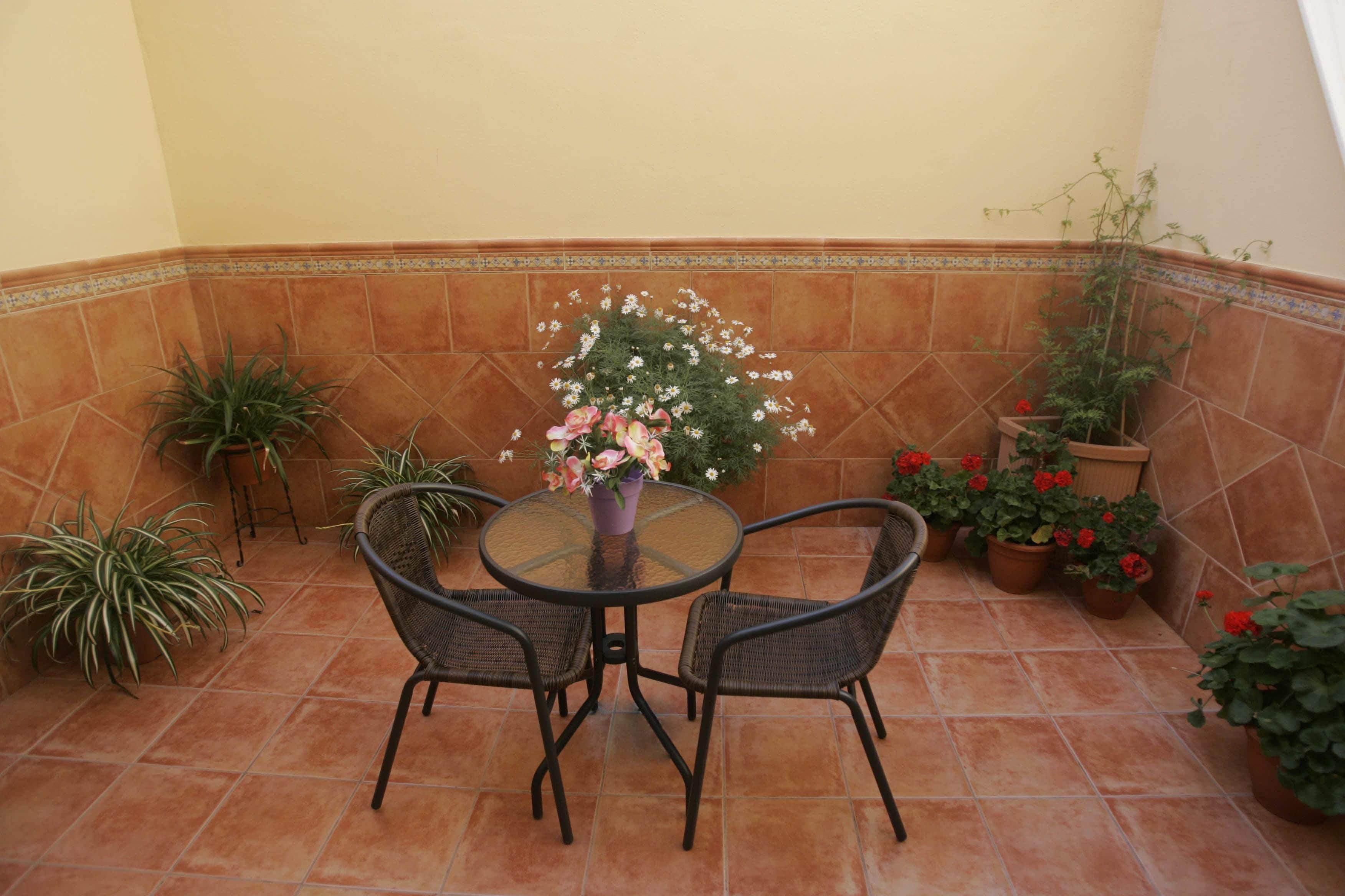 double or twin room, terrace | terrace/patio