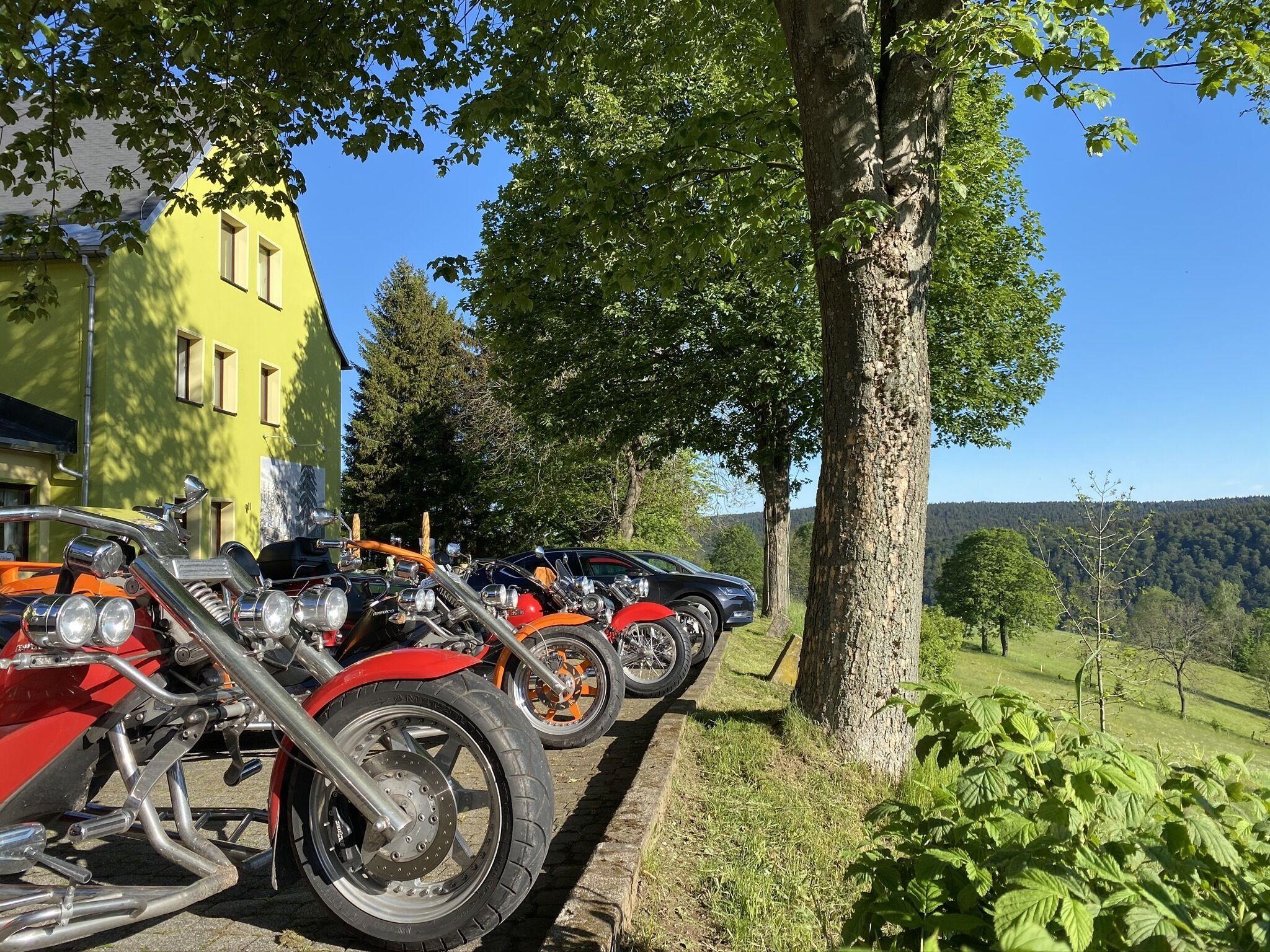 Una hilera de motocicletas estacionadas a lo largo de un sendero bordeado de árboles, con un edificio amarillo al fondo.