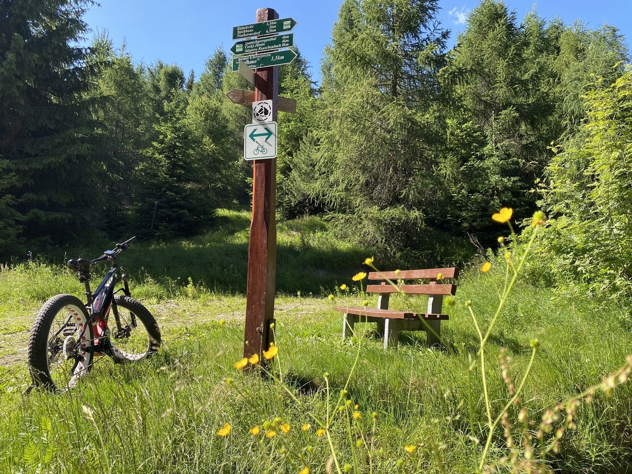 A wooden signpost with directional signs and a bicycle symbol, a bench, and a mountain bike in a grassy area with trees.