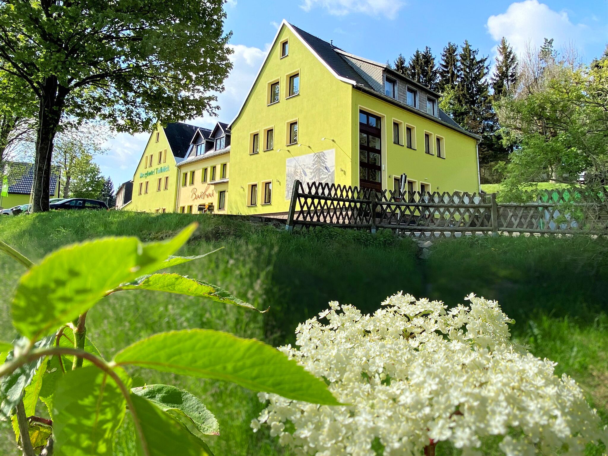 A yellow building with multiple windows and a black fence in front.