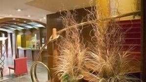 A modern interior with a curved staircase, wooden seating, and tall plants. - Cordón (Burgos)