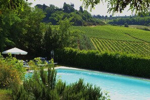Seasonal outdoor pool, a rooftop pool, pool umbrellas, pool loungers - Agriturismo La Moraia (Poggibonsi)