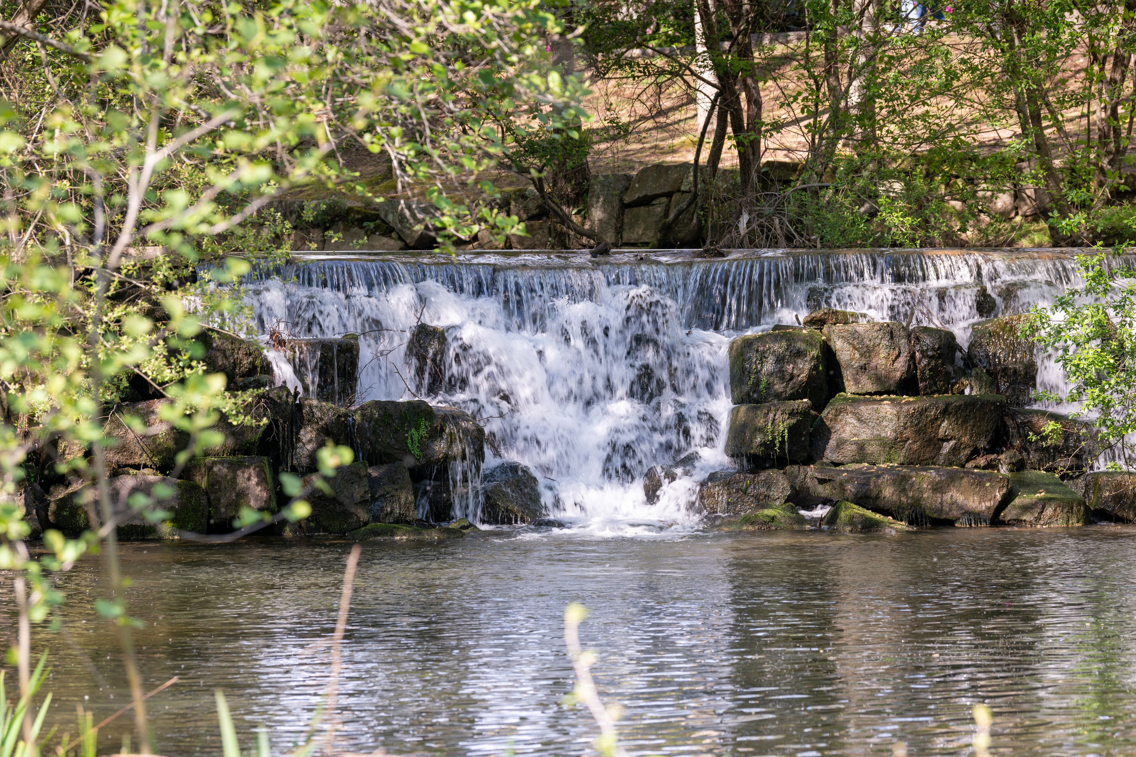 A waterfall cascading over rocks into a calm pool, surrounded by trees and greenery.
