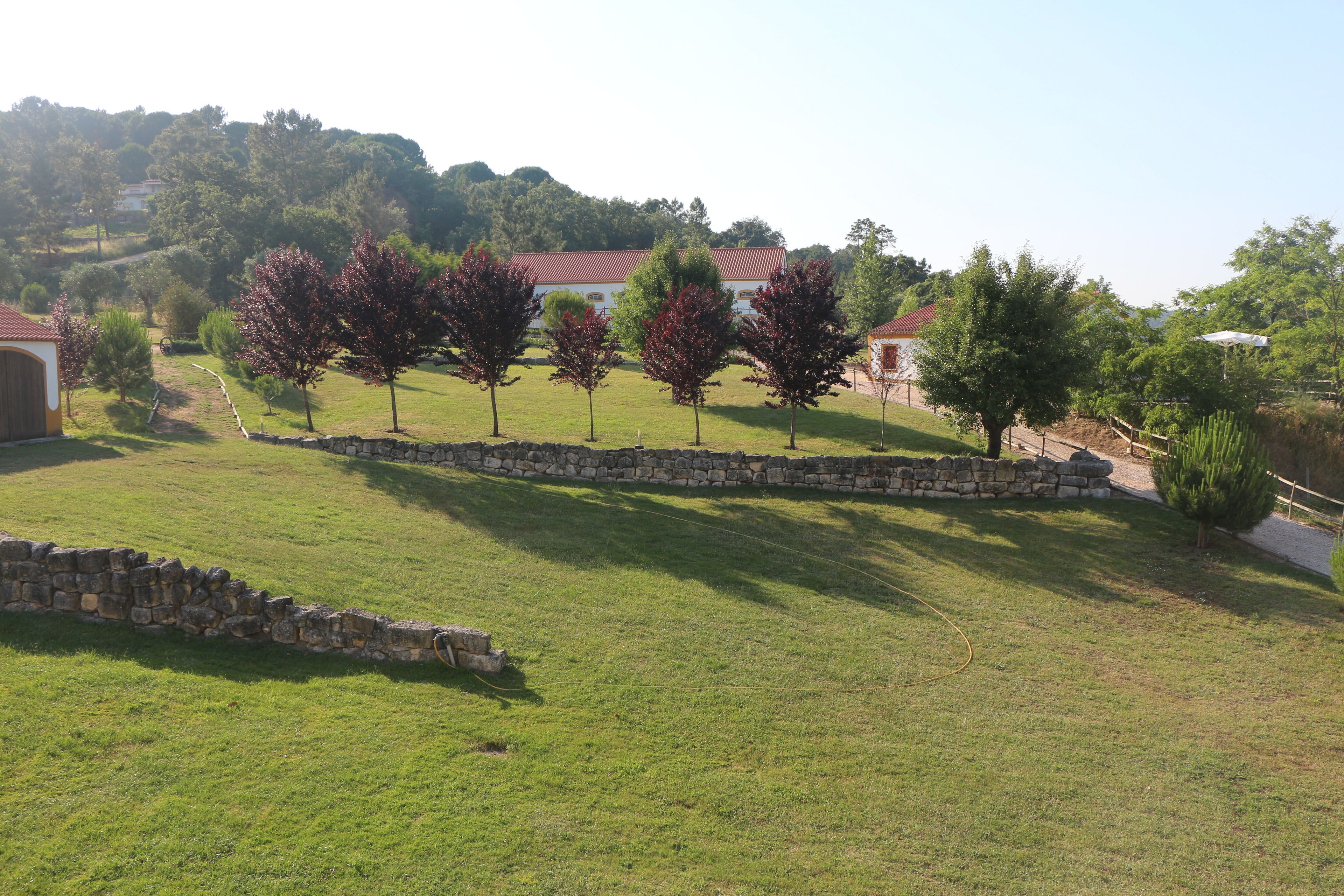 A grassy area with stone walls and trees, a stone pathway, and buildings with red roofs in the background.